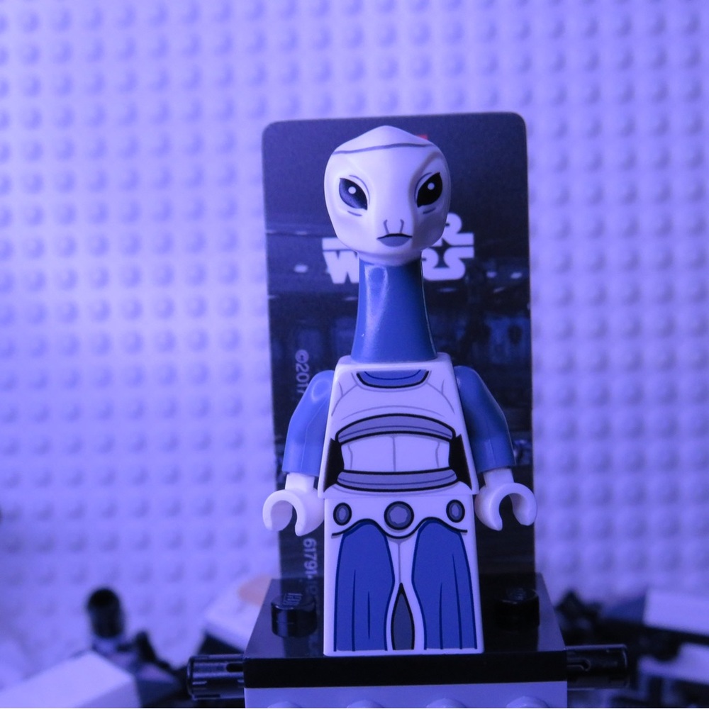 LEGO TAUN WE FIGURE